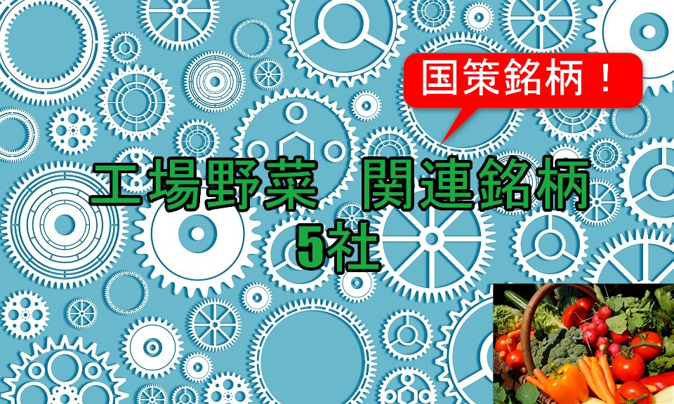 工場野菜
