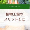 工場野菜