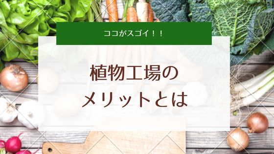 工場野菜